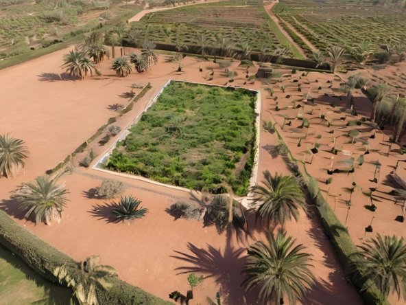 5-hectare melkia land available for sale in Marrakech