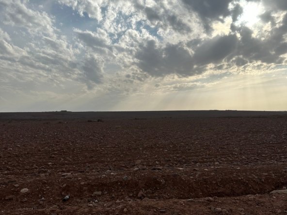 5-hectare melkia land available for sale in Marrakech